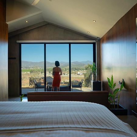 Bajo Estrellas Hotel Contemporaneo Valle de Guadalupe Kültér fotó