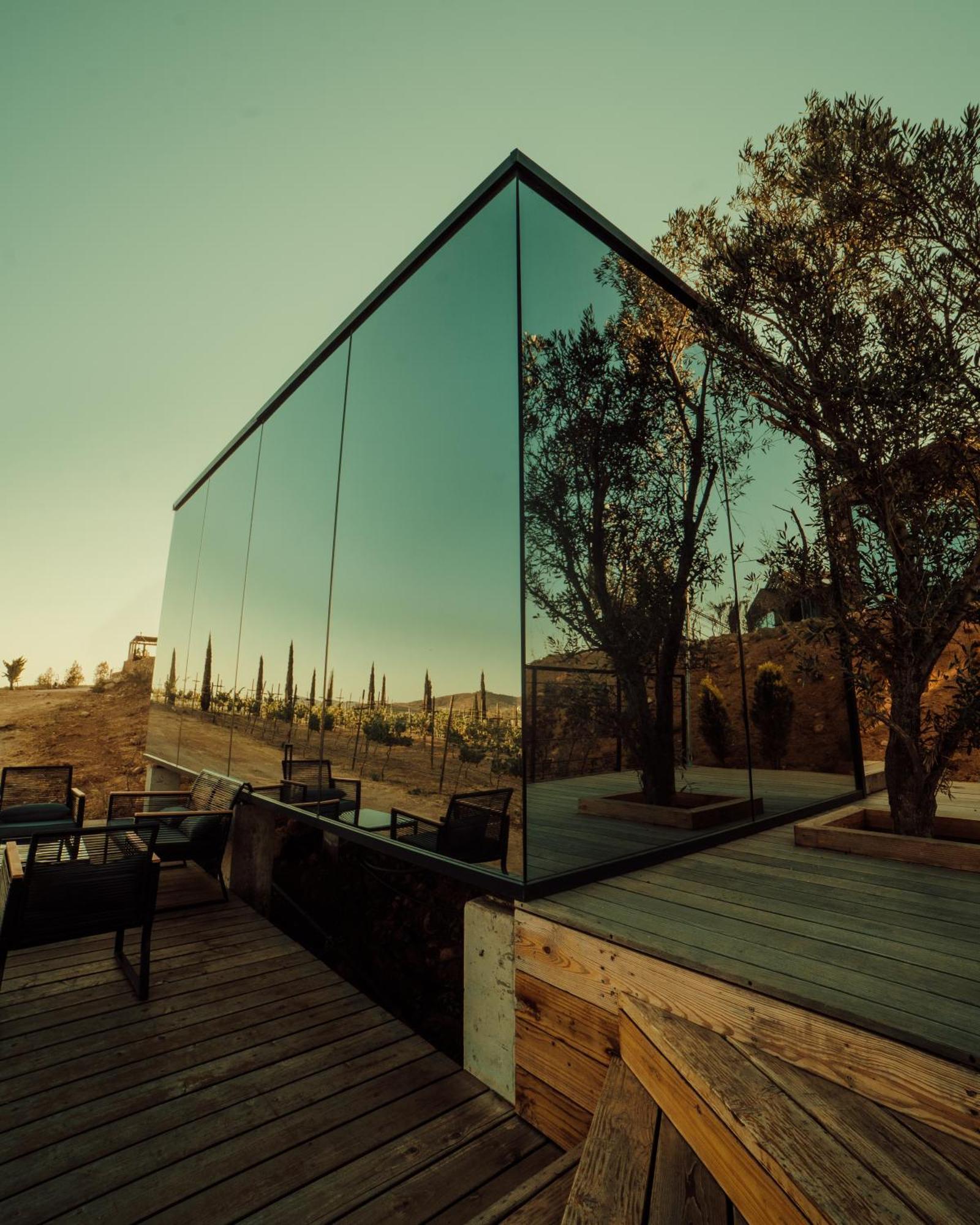 Bajo Estrellas Hotel Contemporaneo Valle de Guadalupe Kültér fotó