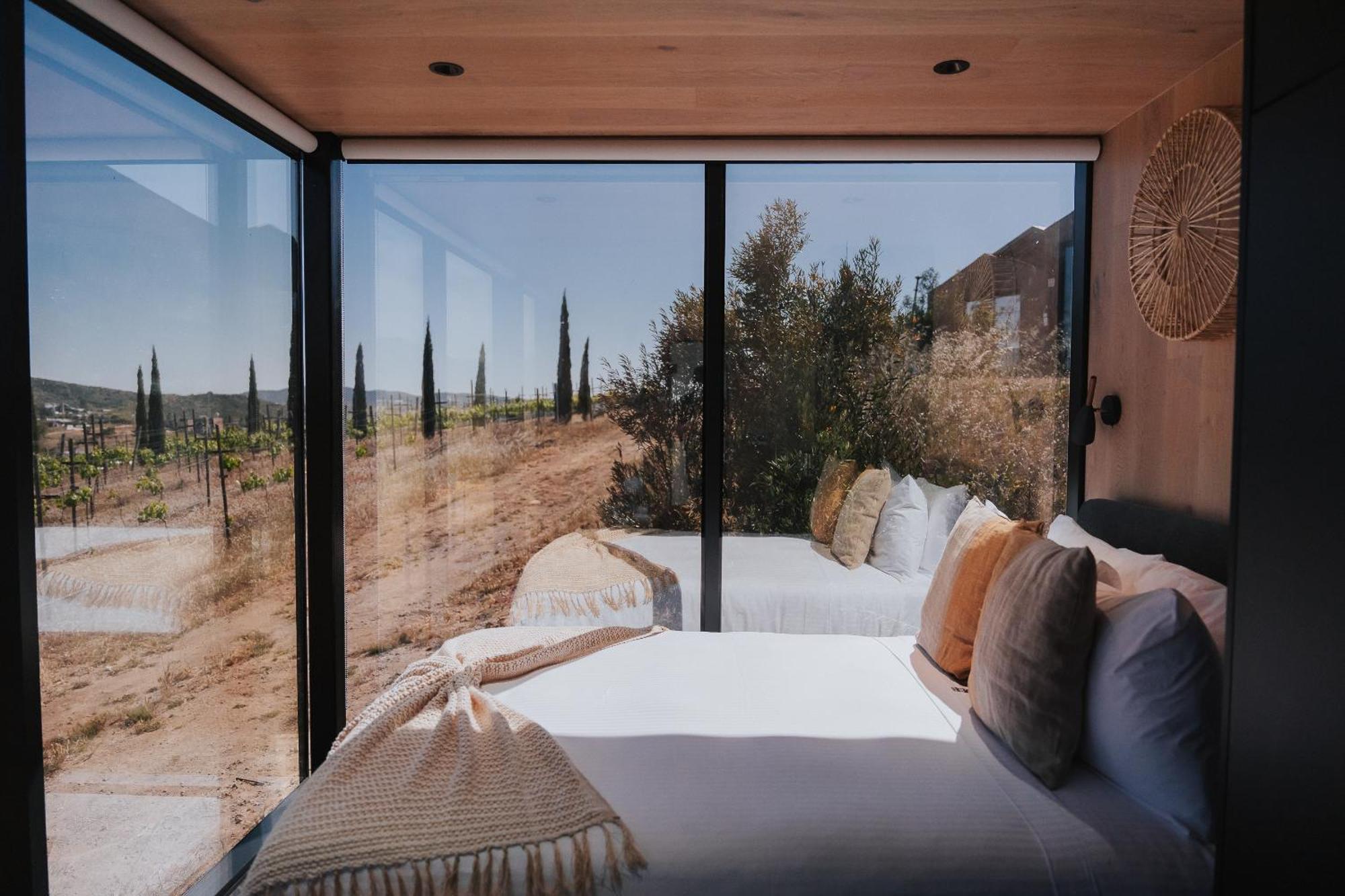 Bajo Estrellas Hotel Contemporaneo Valle de Guadalupe Kültér fotó